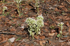 Ma balade du premier mai 2019