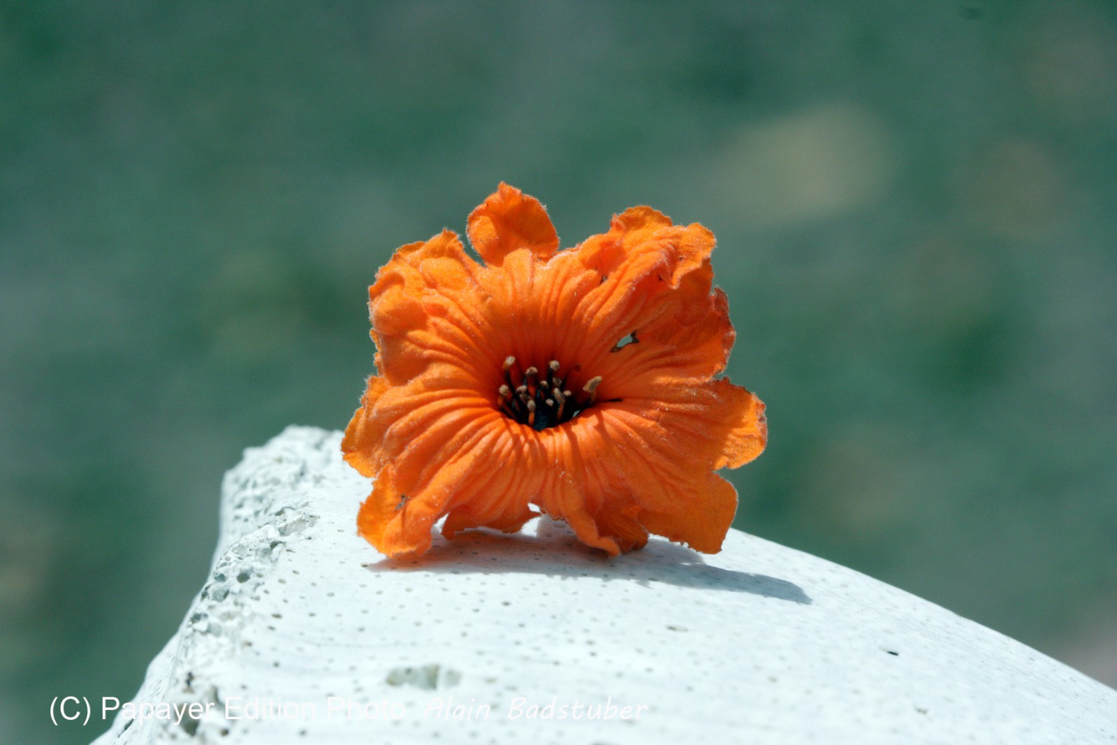 Images_Belize_2011_160