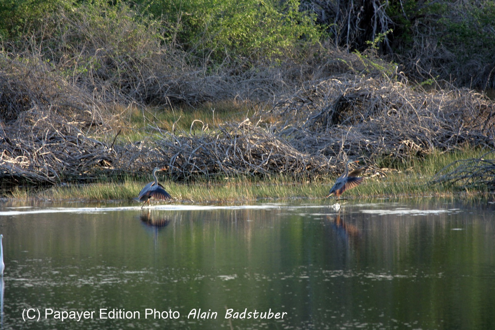 Images_Belize_2011_299
