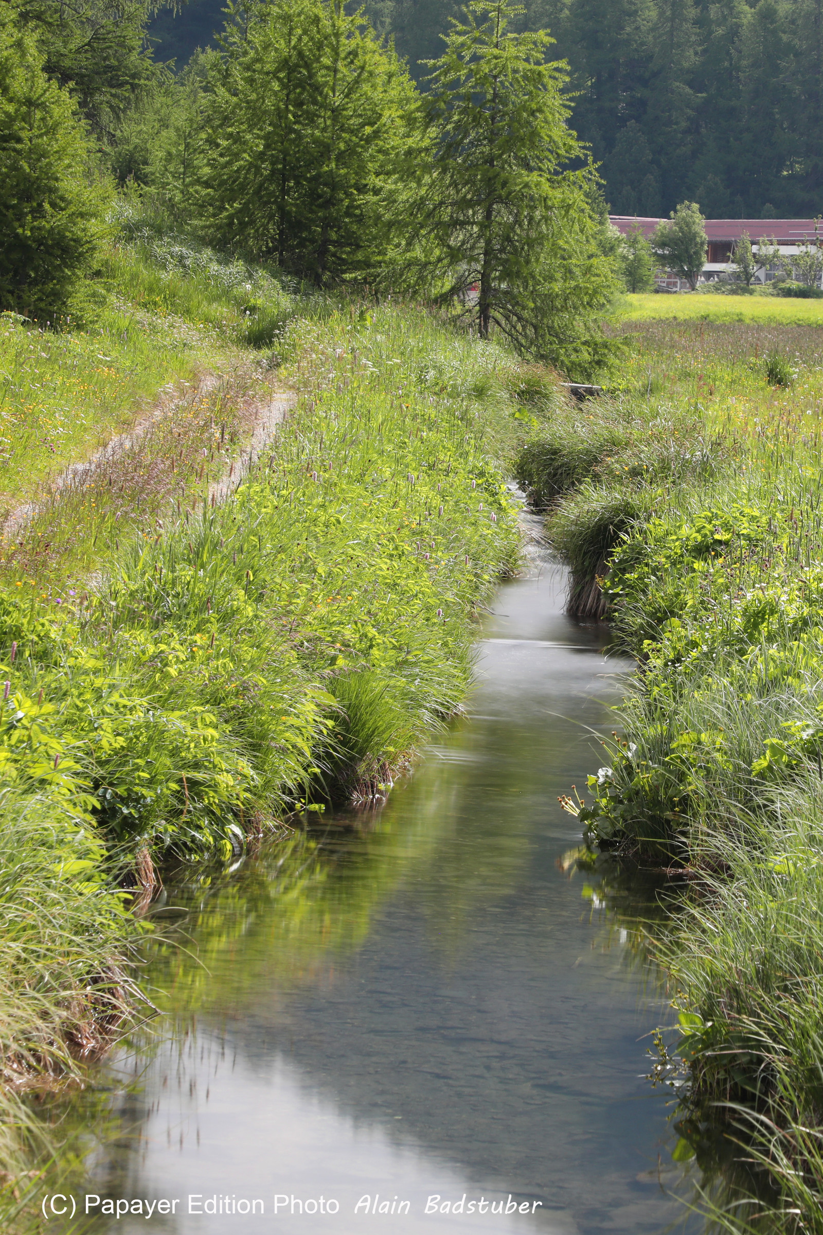 Encore une journée non favorable à la pratique de WingFoil