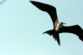 Images_Belize_2011_408