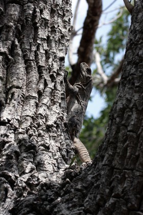 Images_Belize_2011_168
