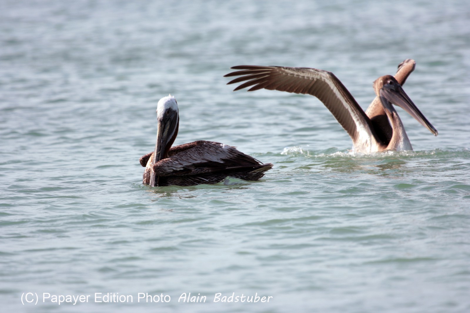 Images_Belize_2011_436