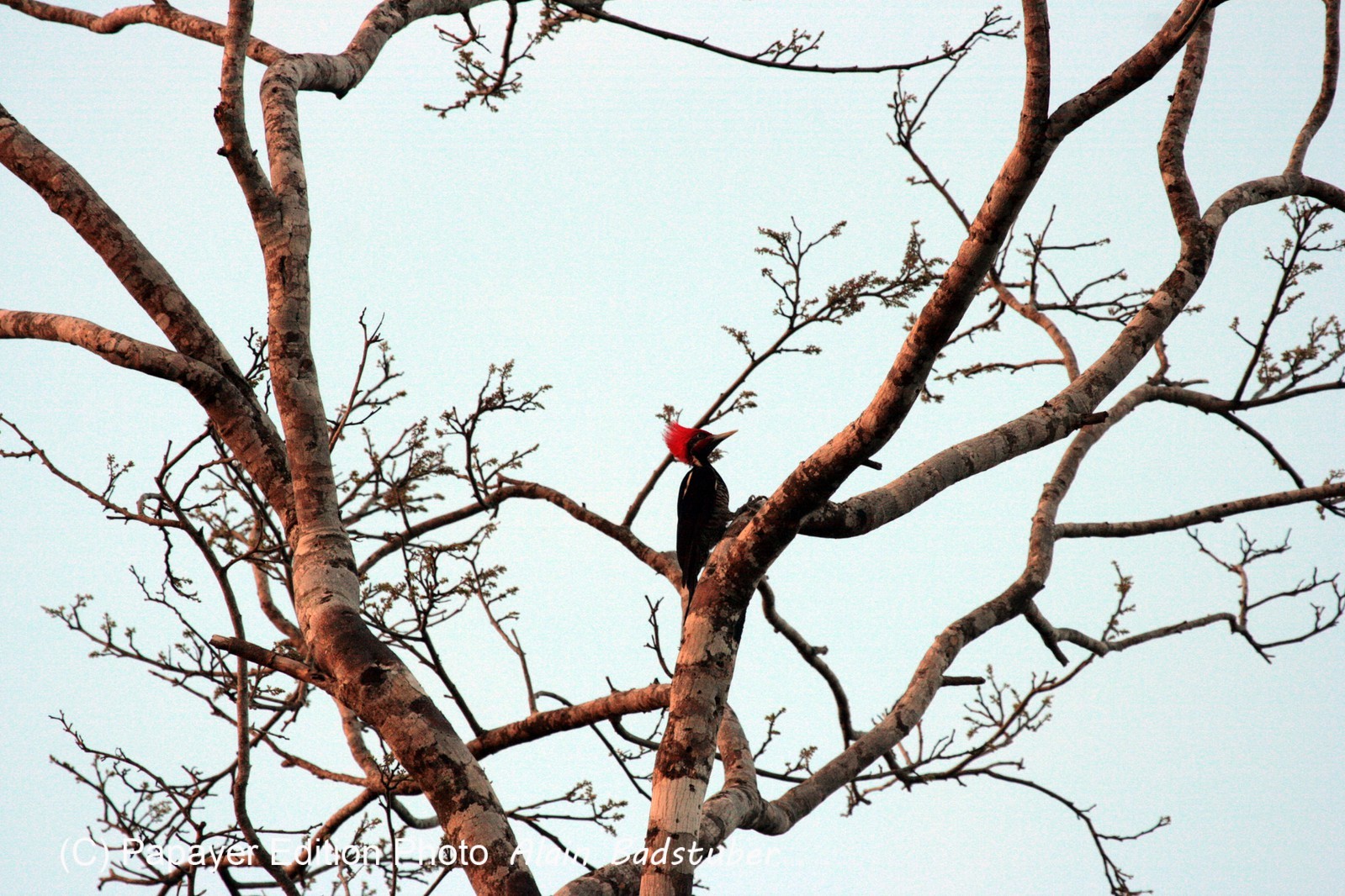 Images_Belize_2011_363