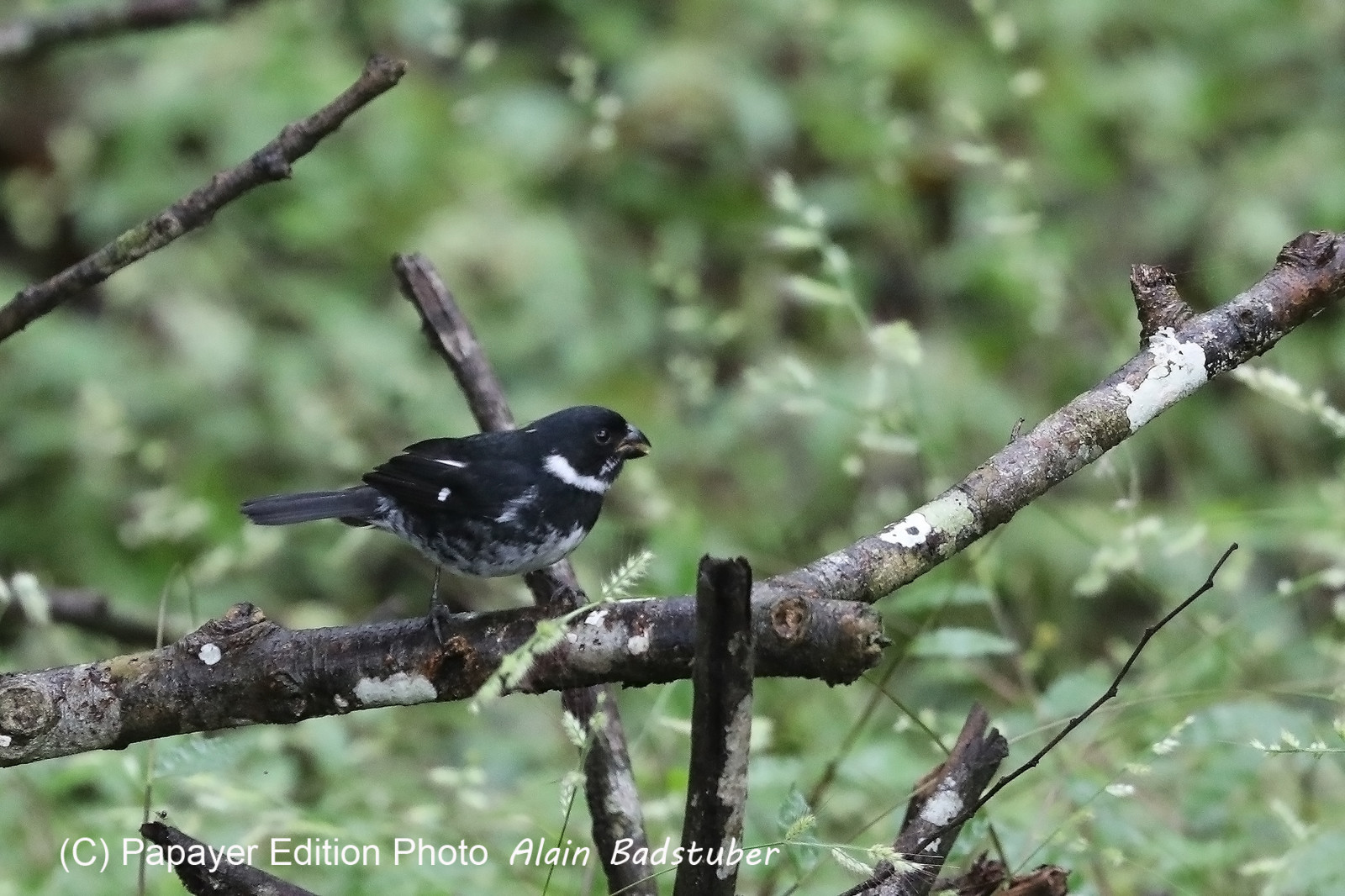 Parque Natural Metropolitano