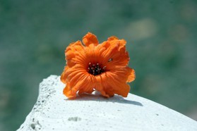 Images_Belize_2011_160