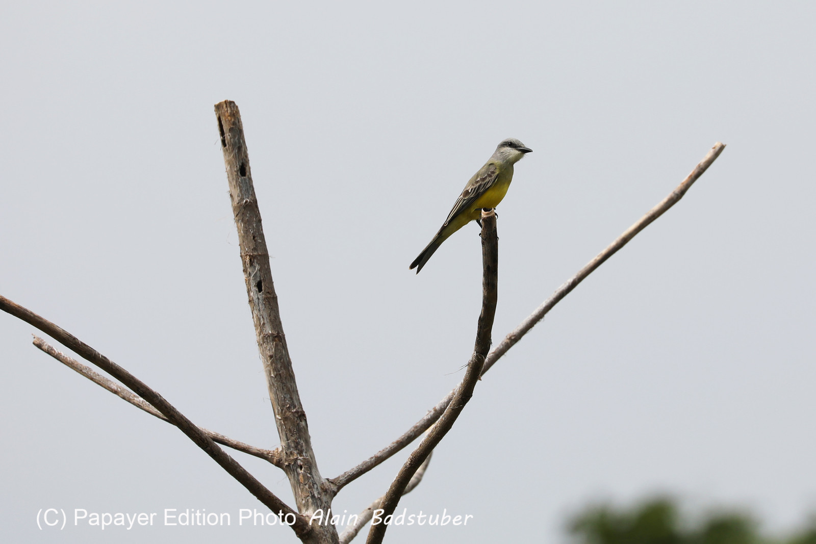 Deuxième séjour à Sarteneja, Bélize, Novembre - Décembre 2021