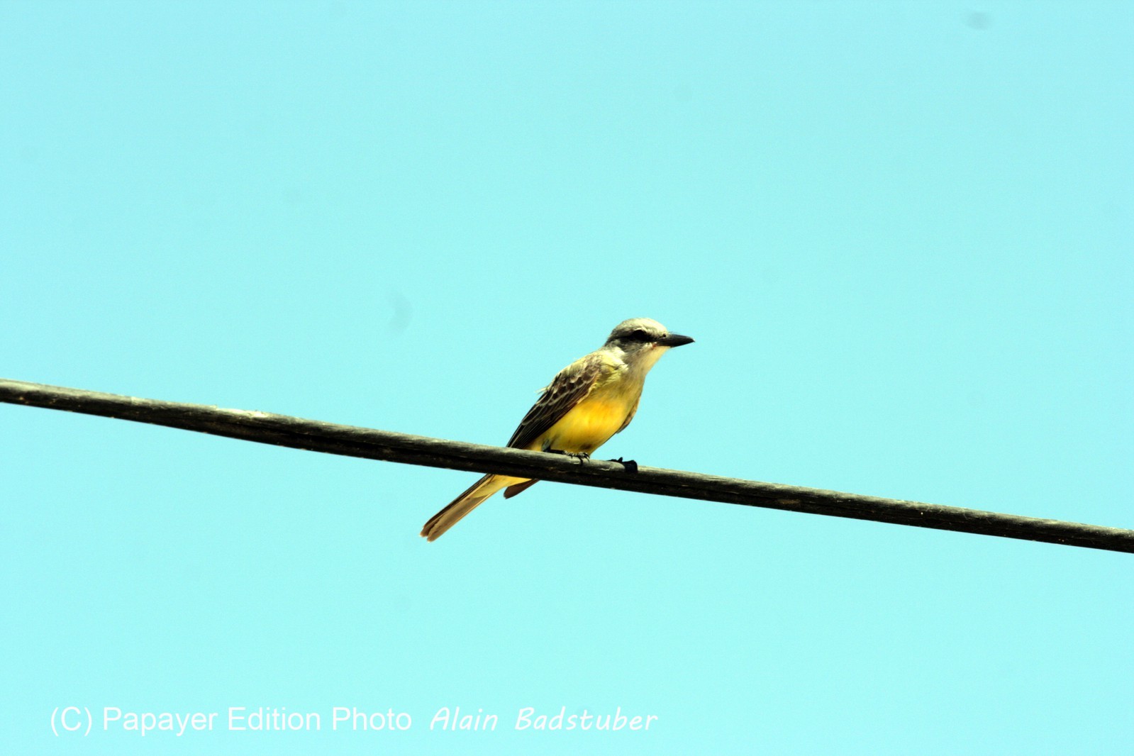 Images_Belize_2011_066