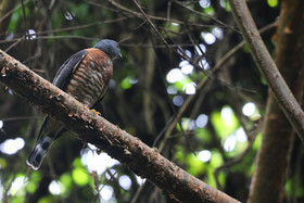 Parque Natural Metropolitano