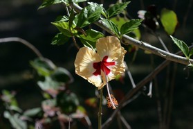 Images_Belize_2011_053