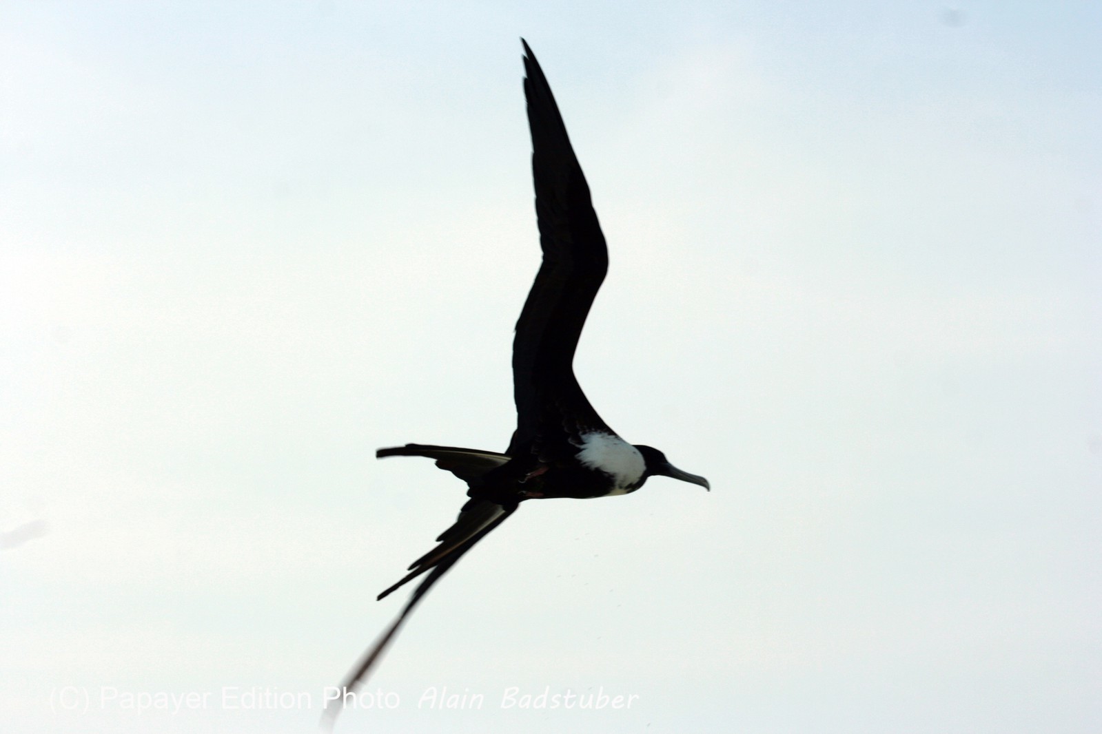 Images_Belize_2011_411