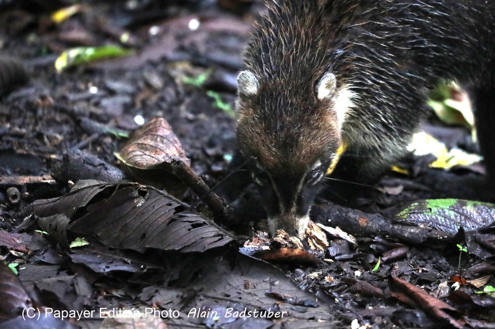 Parque Natural Metropolitano