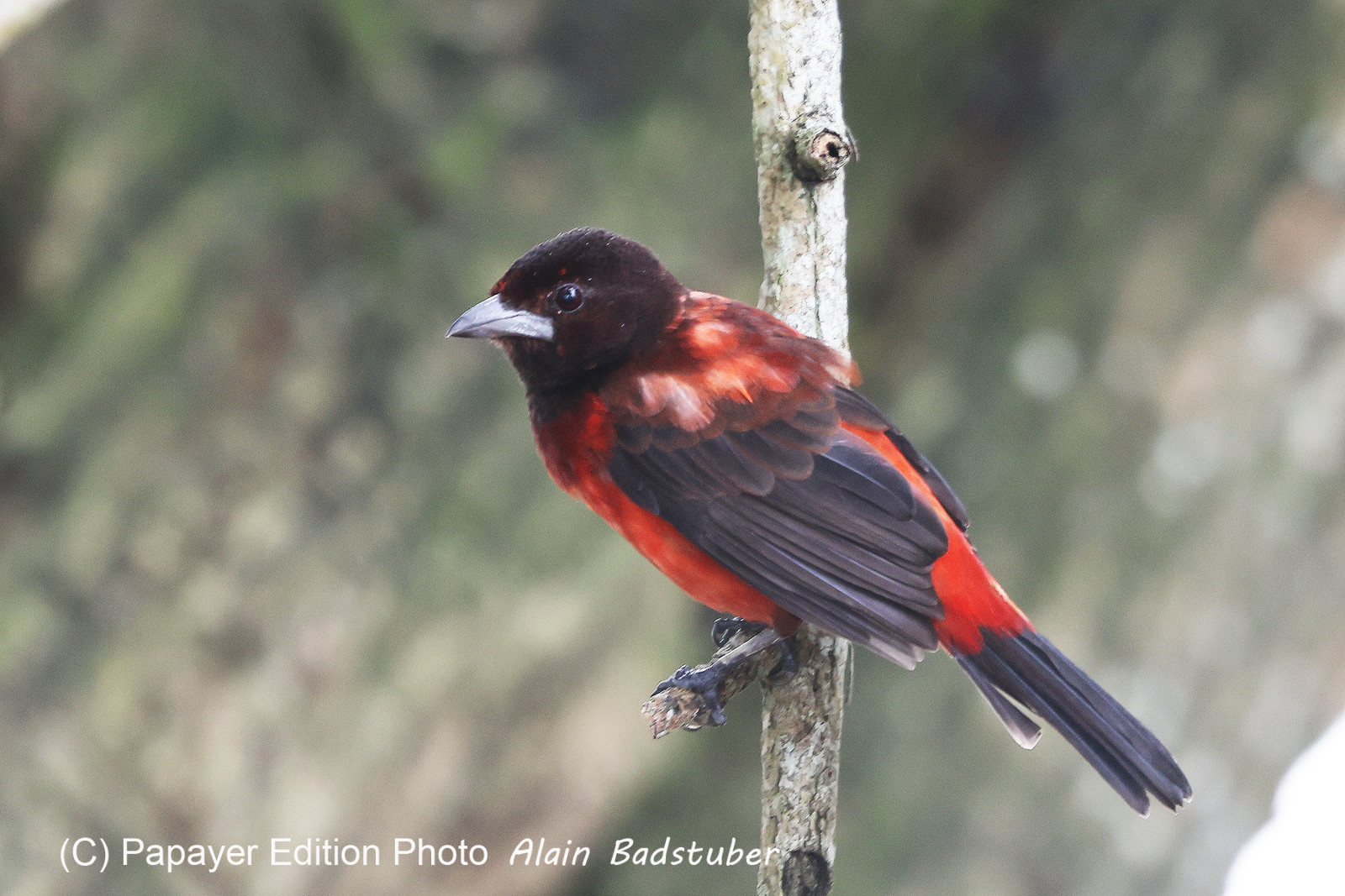 Punta Culebra Nature Center