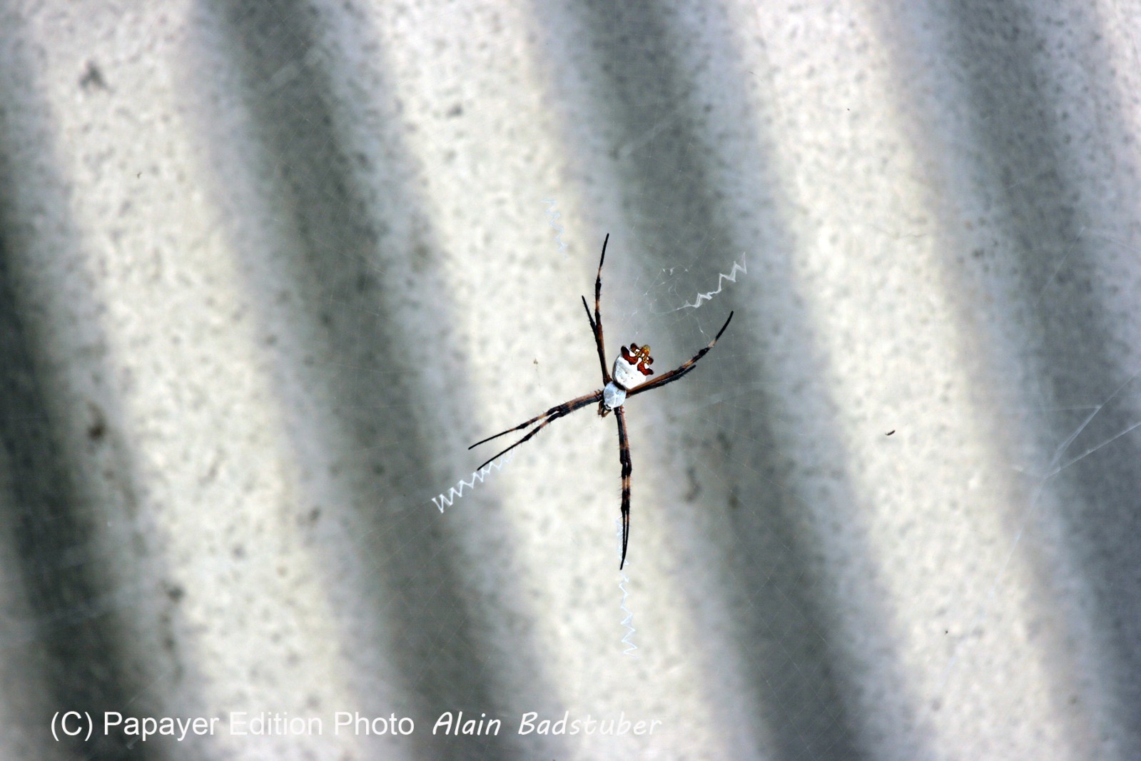 Images_Belize_2011_148