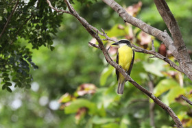 Deuxième séjour à Sarteneja, Bélize, Novembre - Décembre 2021