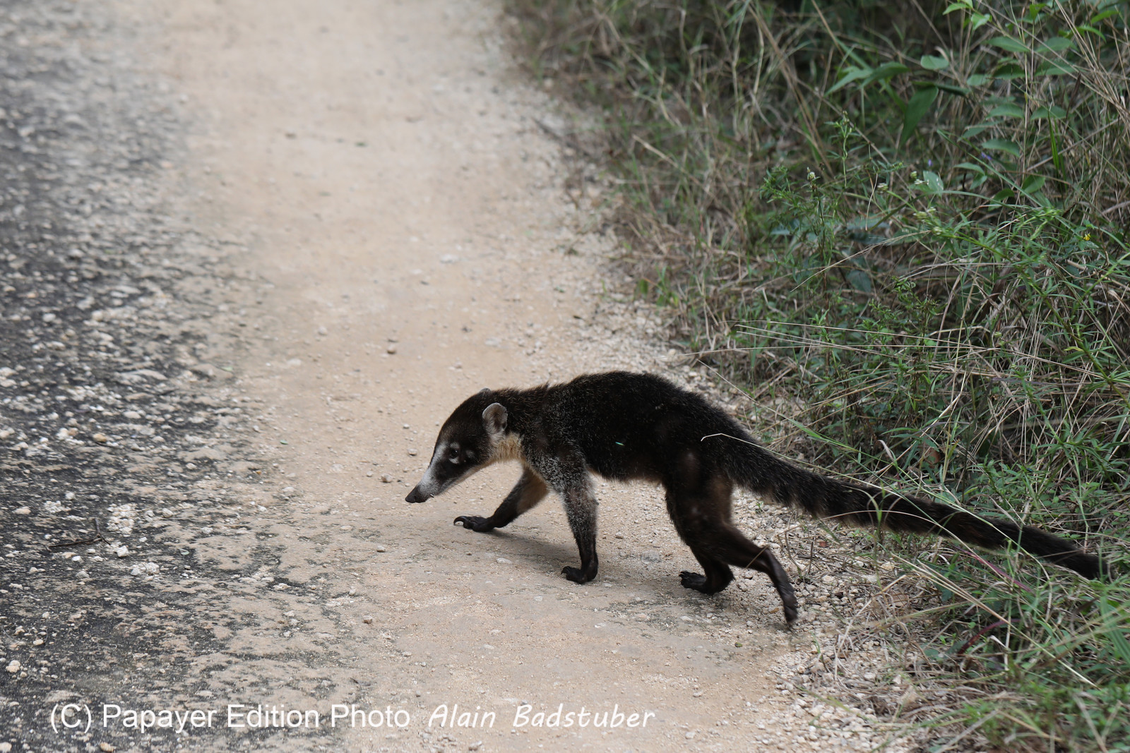Deuxième séjour à Sarteneja, Bélize, Novembre - Décembre 2021