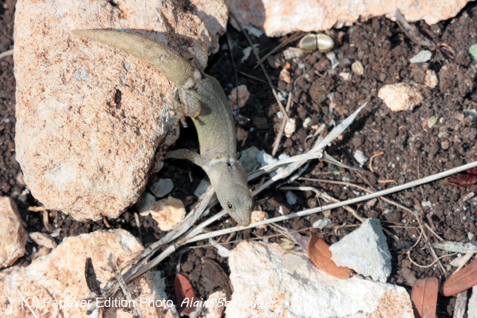 Images_Belize_2011_371