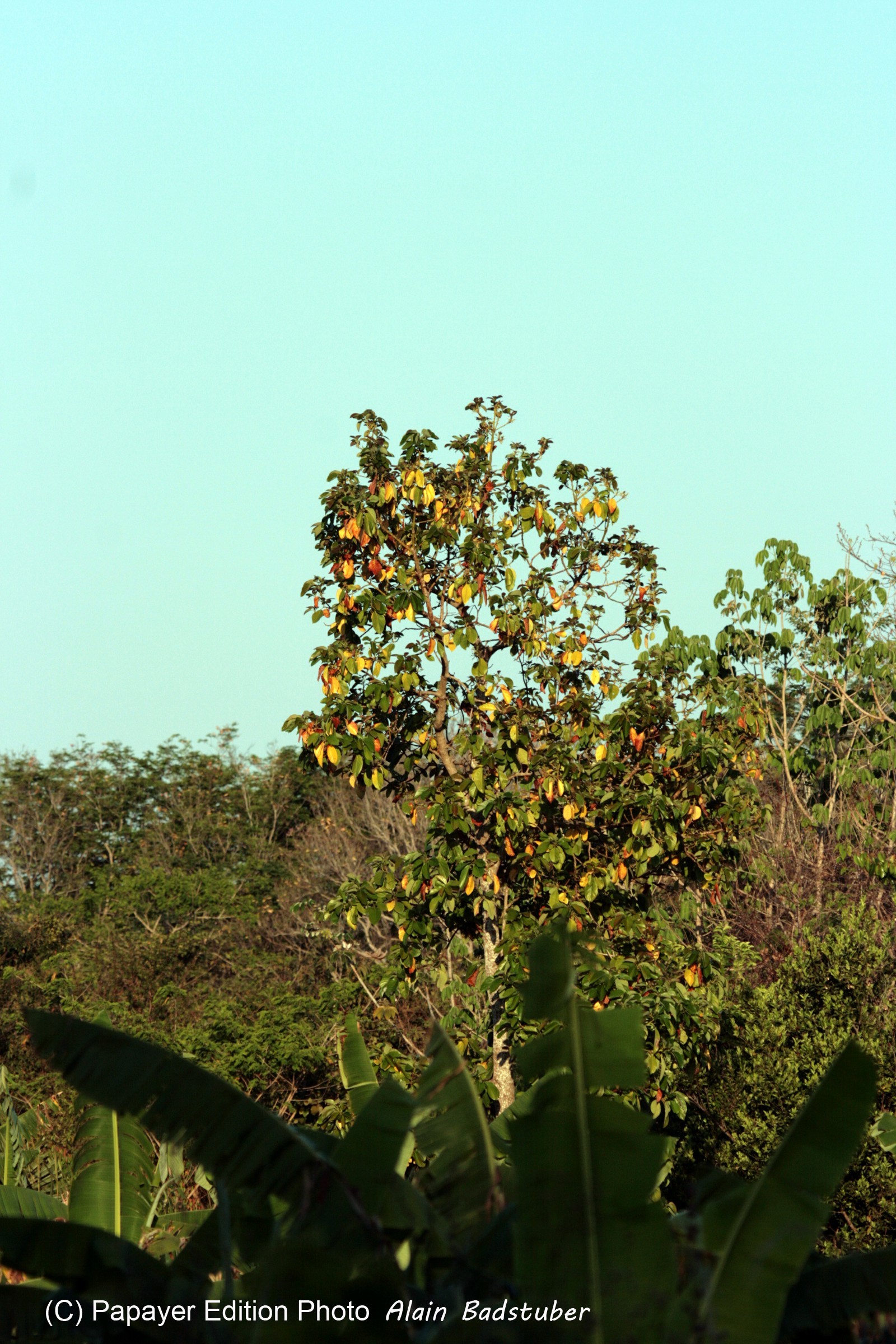 Images_Belize_2011_349