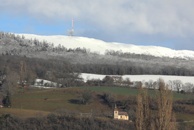 Faune et Flore de Suisse, 2022