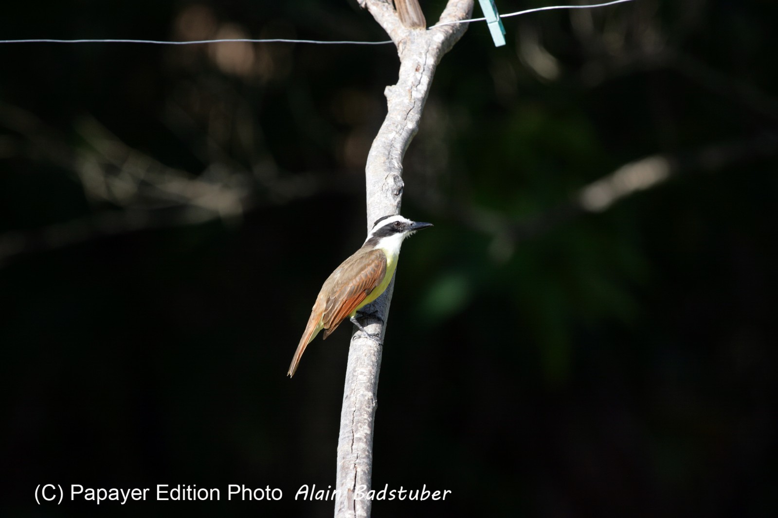 Images_Belize_2011_038