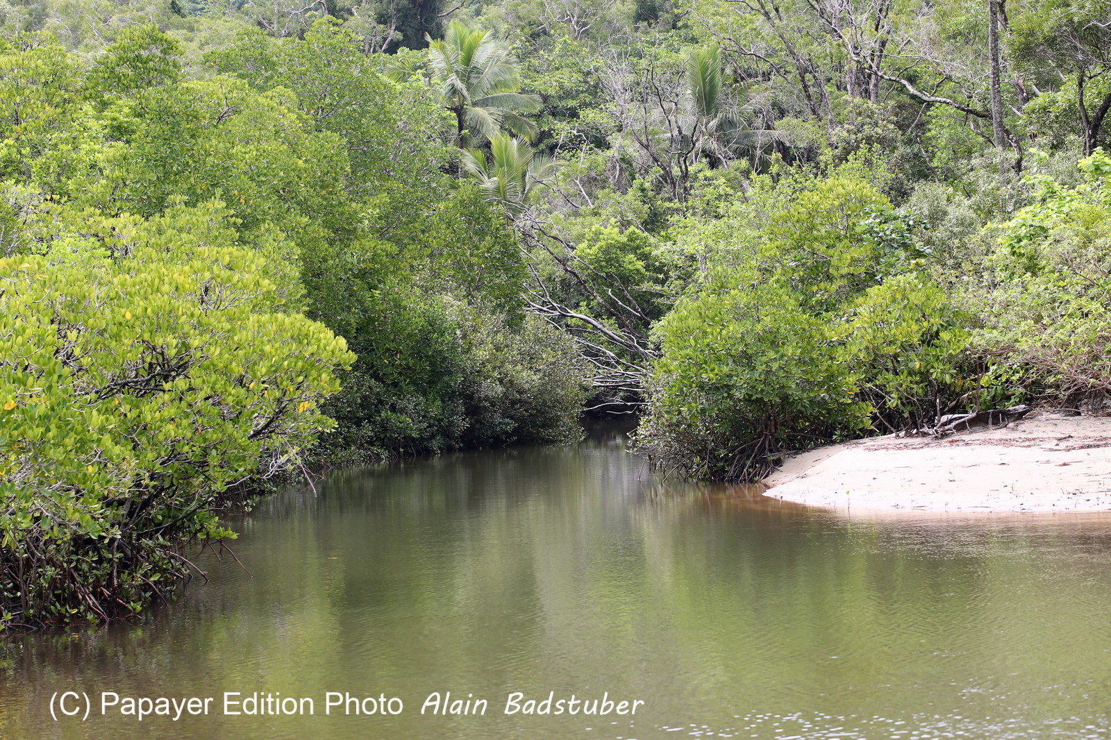 L'Australie à Cow Bay et Cape Tribulation en 2017