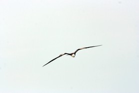 Images_Belize_2011_418