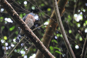Parque Natural Metropolitano