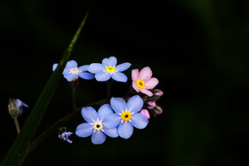 Encore une journée non favorable à la pratique de WingFoil