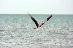 Images_Belize_2011_431