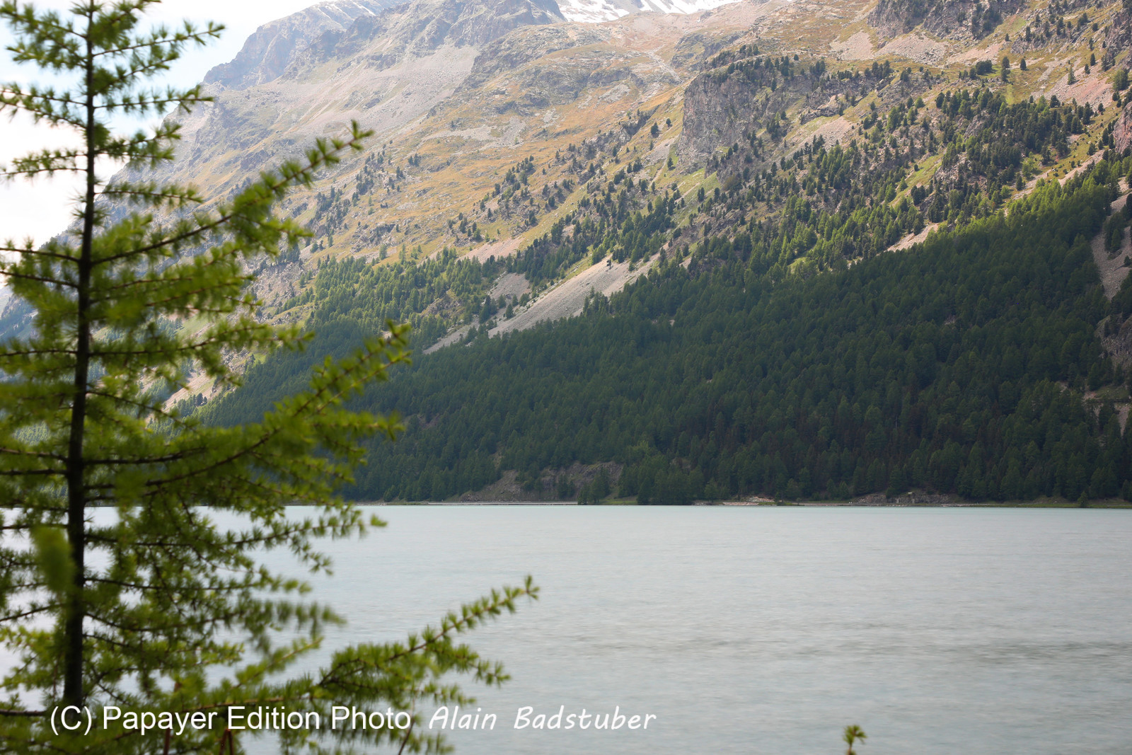 Pas de vent, mais d'autres photos !