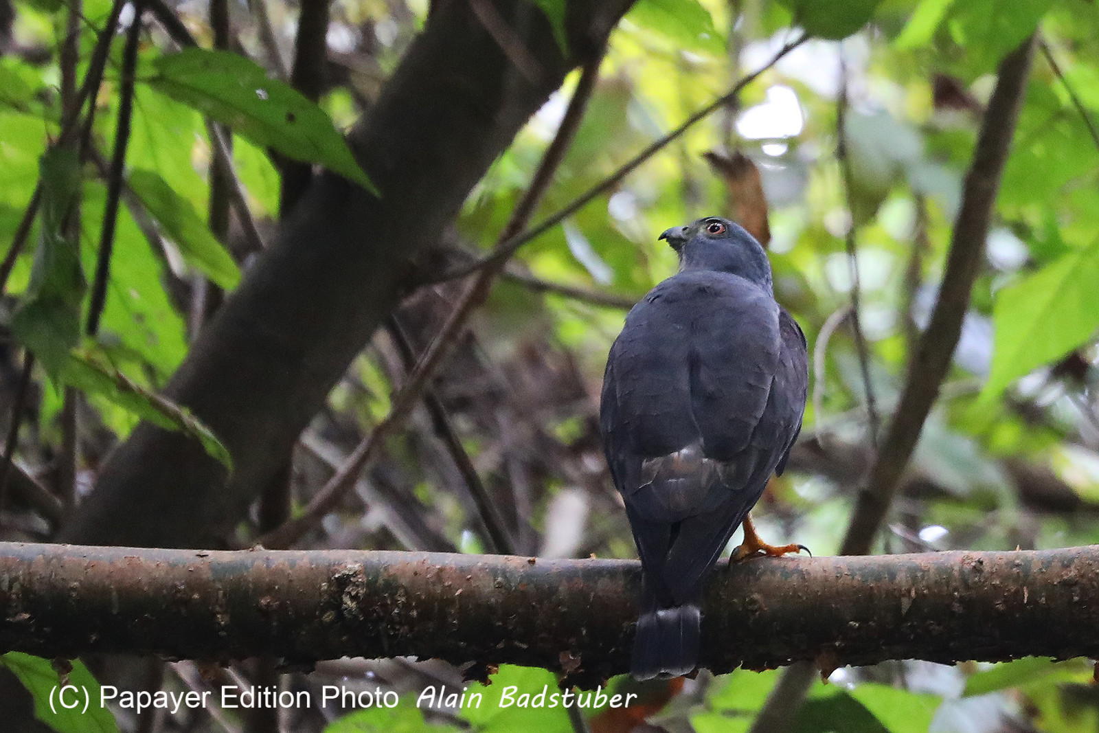 Parque Natural Metropolitano