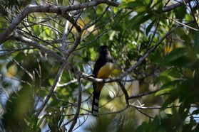 Images_Belize_2011_048