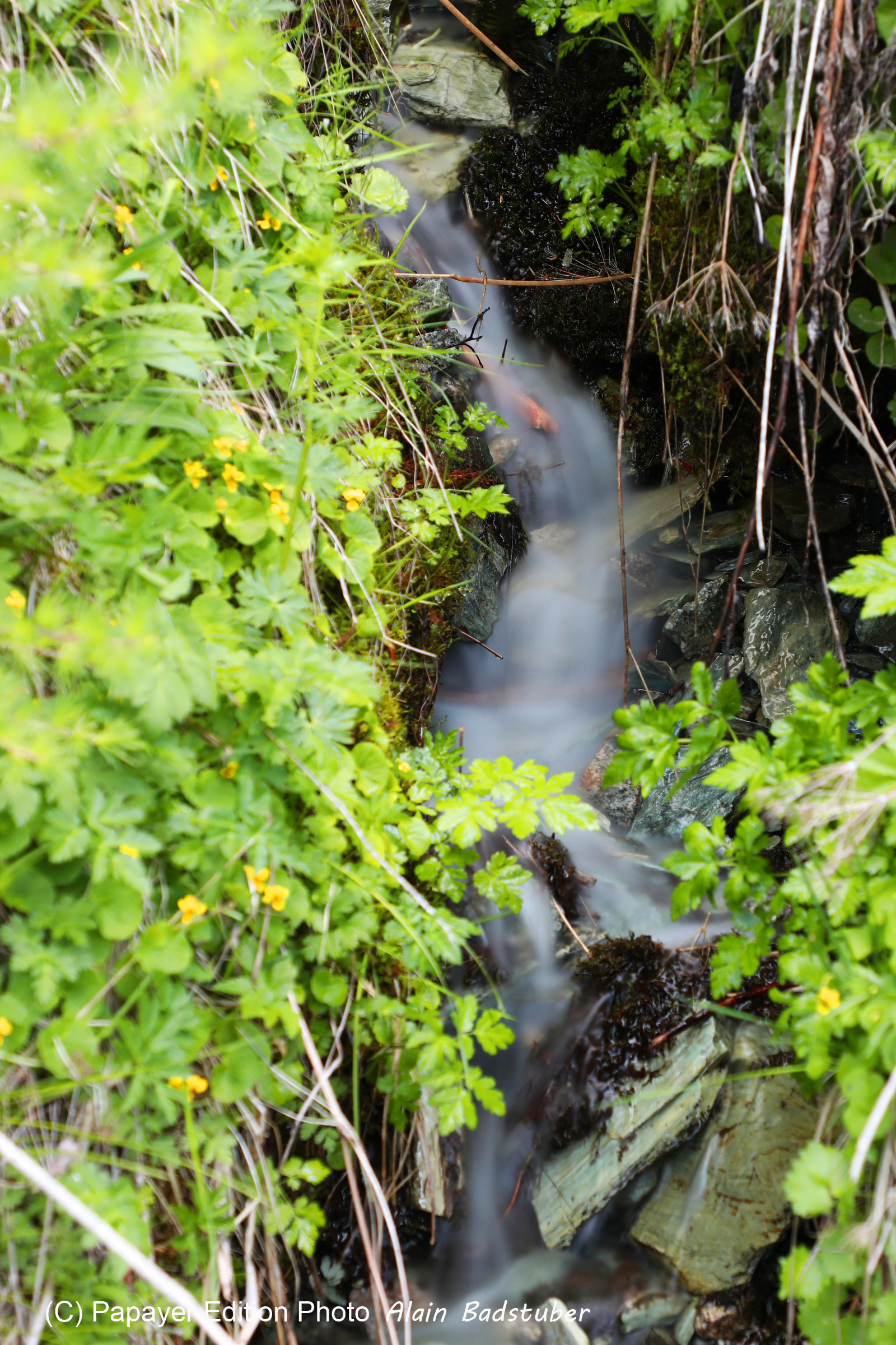 Pas de vent, mais d'autres photos !