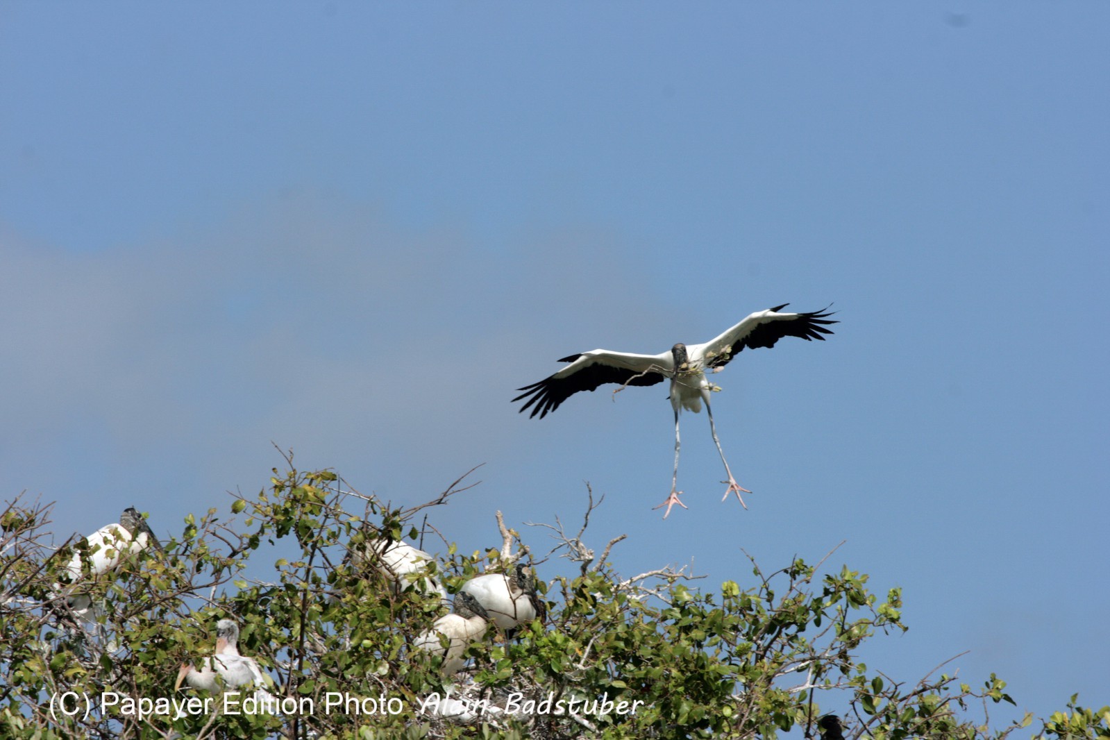 Images_Belize_2011_092