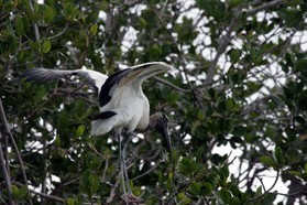 Images_Belize_2011_109