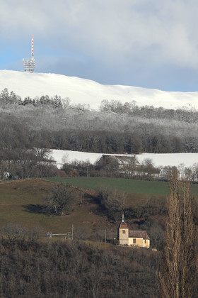 Faune et Flore de Suisse, 2022
