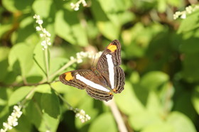 Hickatee Cottages, 4 jours de photo