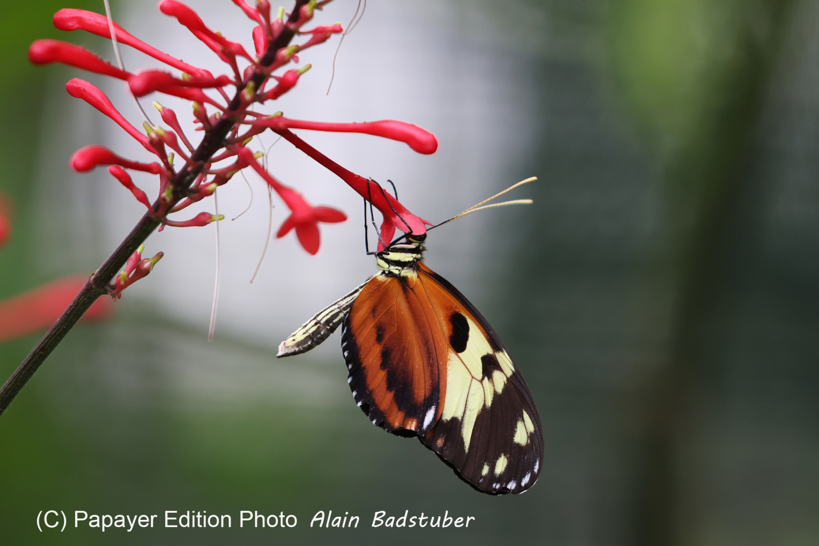 Punta Culebra Nature Center
