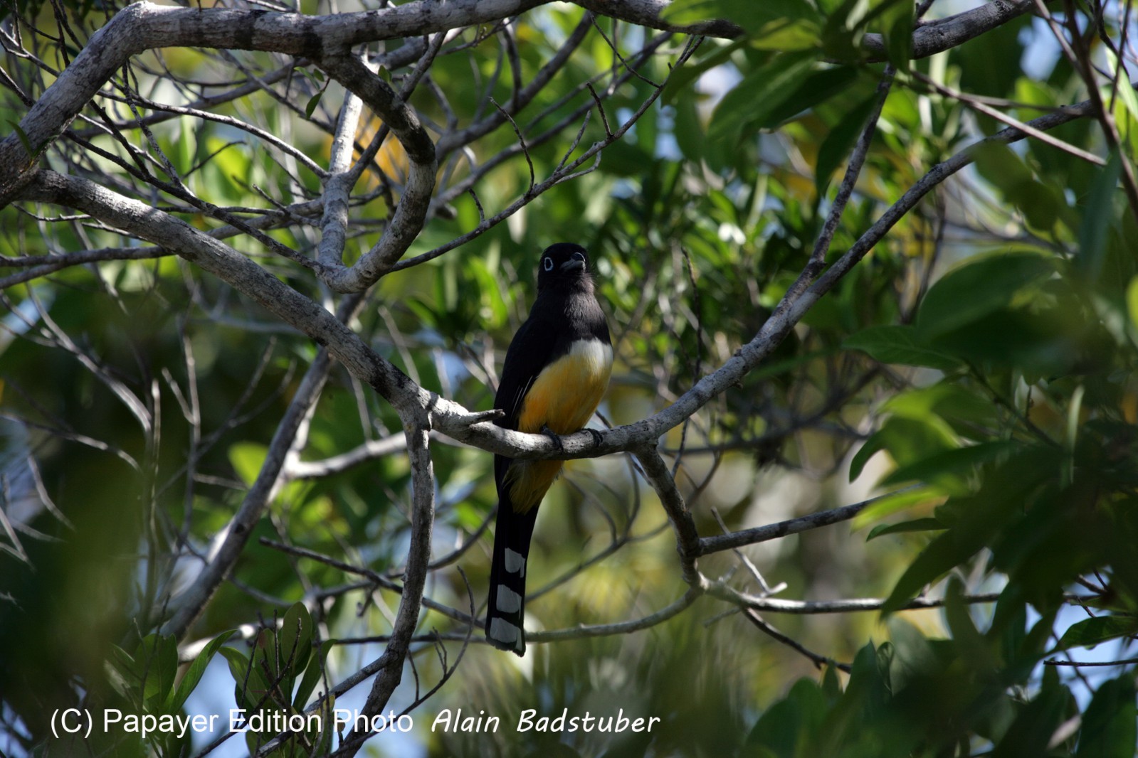 Images_Belize_2011_047