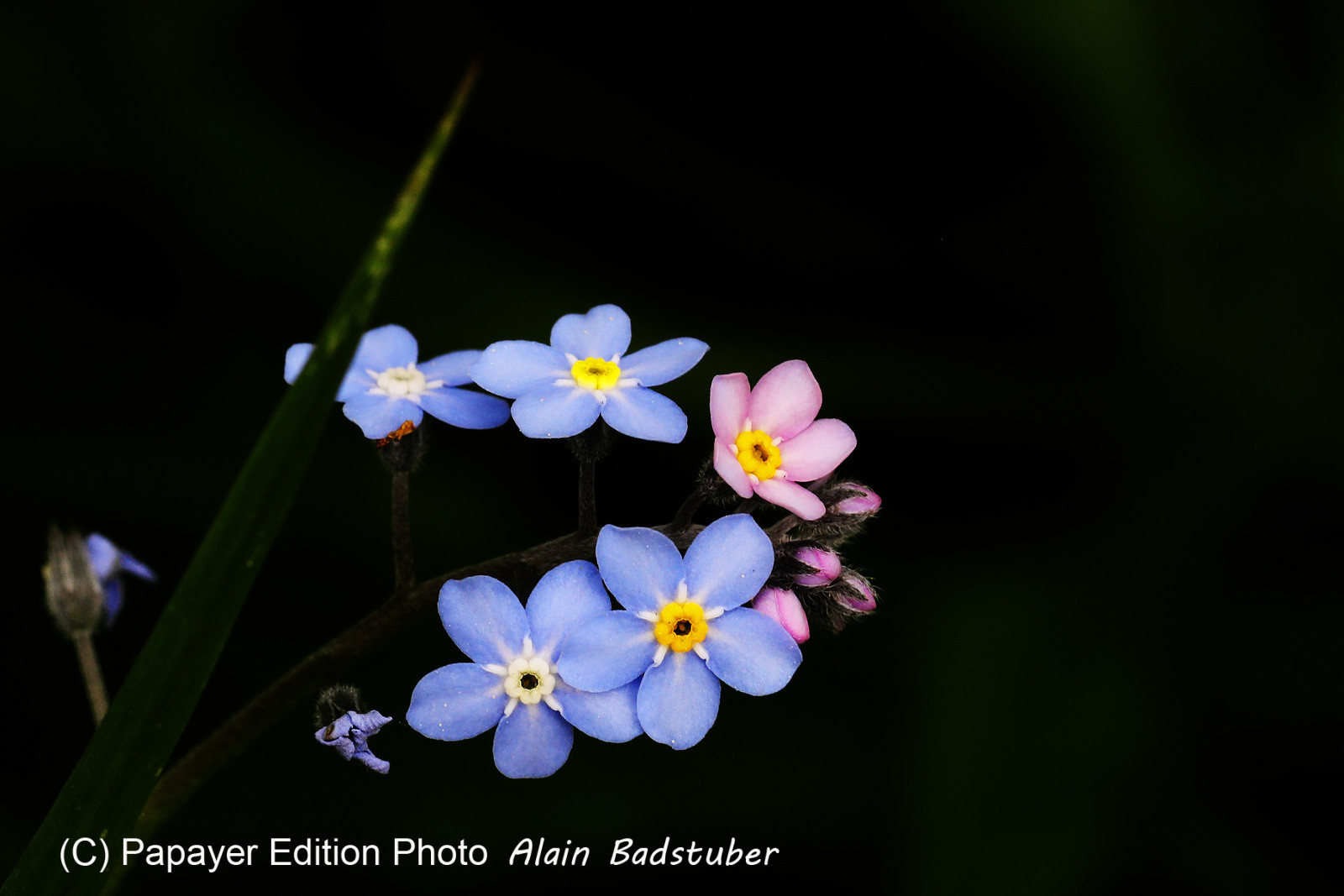 Encore une journée non favorable à la pratique de WingFoil