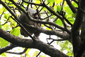 Parque Natural Metropolitano