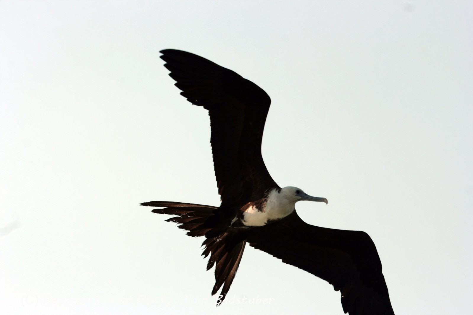 Images_Belize_2011_409