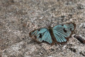Parque Natural Metropolitano