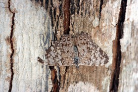 Images_Belize_2011_045