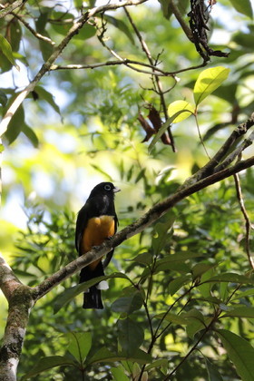 Hickatee Cottages, 4 jours de photo