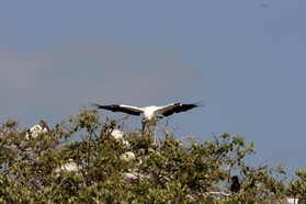 Images_Belize_2011_096