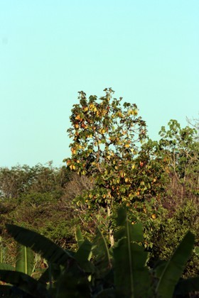 Images_Belize_2011_349