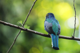 Deuxième séjour à Sarteneja, Bélize, Novembre - Décembre 2021