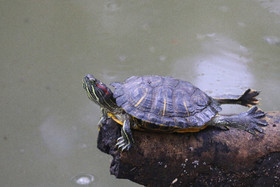 Parque Natural Metropolitano