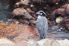 Punta Culebra Nature Center